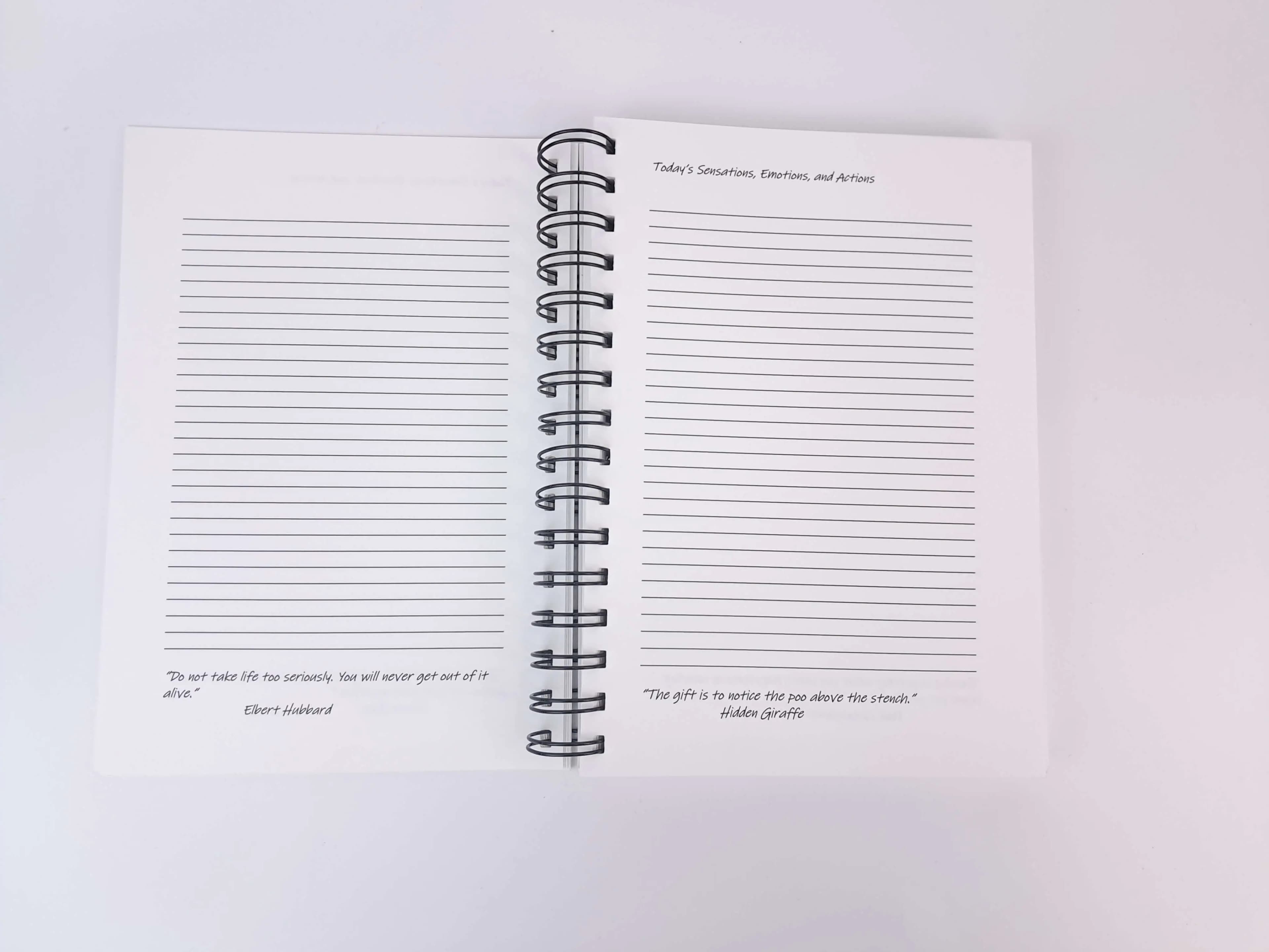 Open Discovery Journal showing two lined pages for personal notes, with prompts and inspirational quotes at the bottom.
