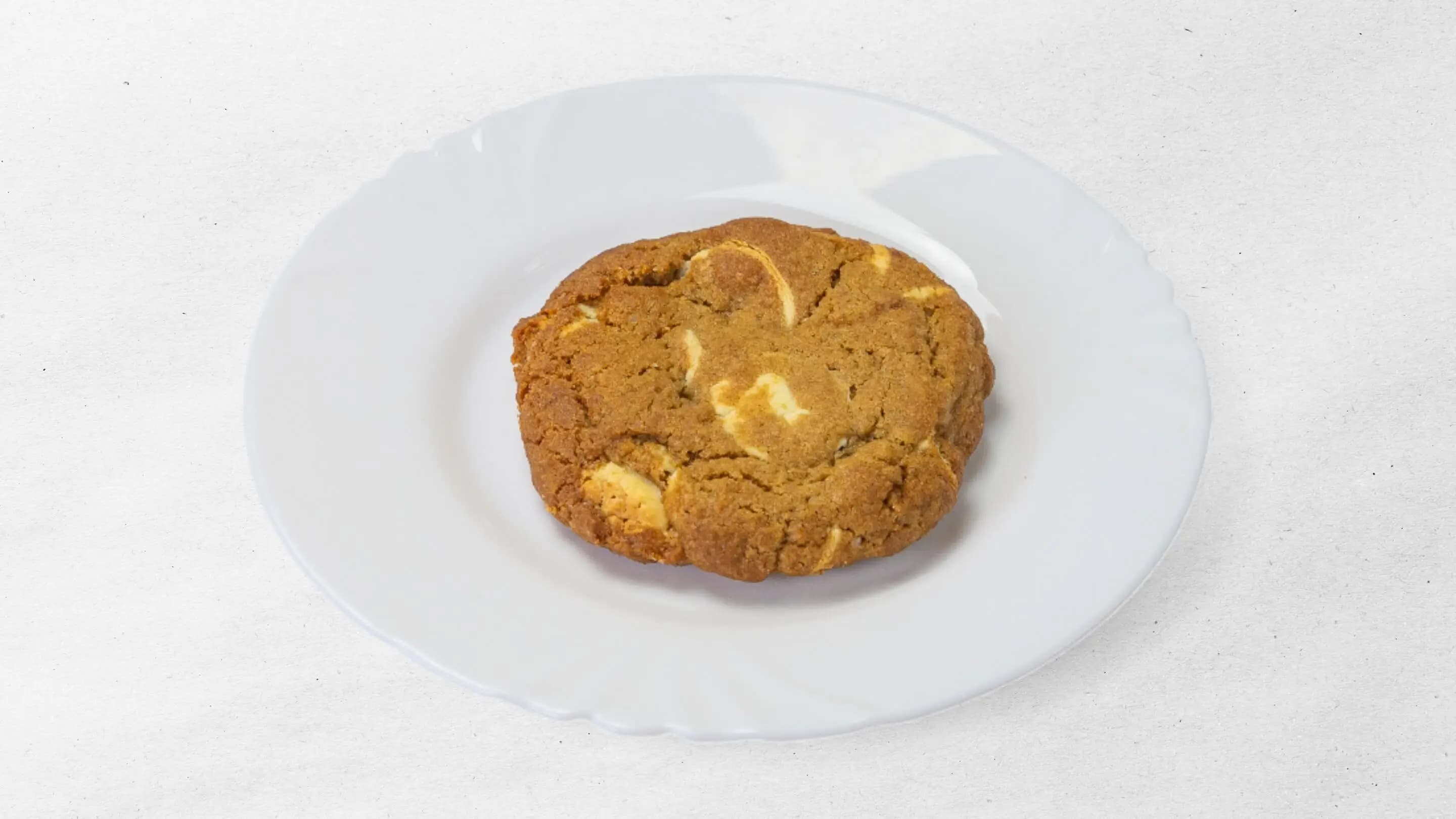 Gingerbread cookie with white chocolate chips served on a white plate